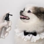 Yourvet Dental Spray 寵物牙齒口腔清潔噴霧 (狗狗貓咪適用) - Image 3