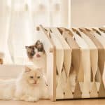 Duit Play Cottage 遊樂小屋