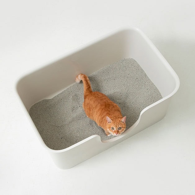 Duit Poo Poo Box Long 貓便便盒長方體 - Babble Pet