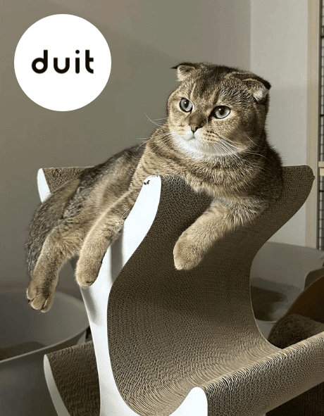 Duit kitty tree