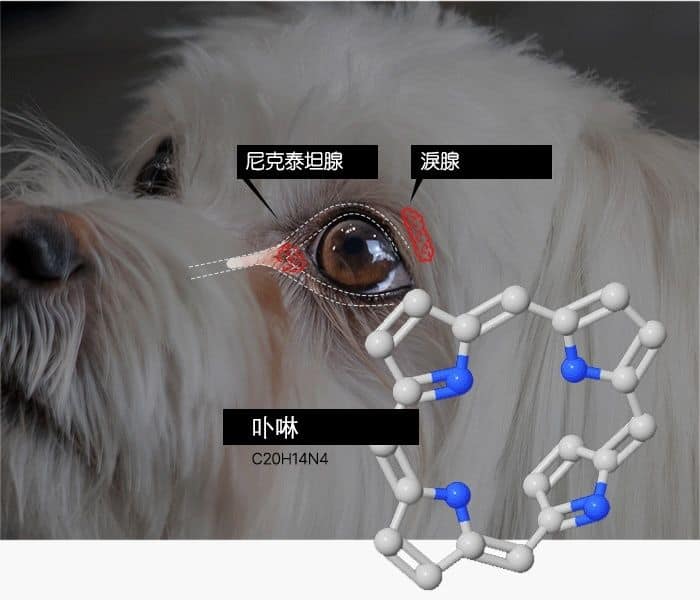 Medi Eye Drops4