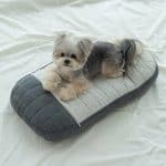 Ritogato Honey Bunny Pet Stroller Set 寵物推車套裝 (圍墊+枕頭+坐墊) - Image 11