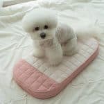 Ritogato Honey Bunny Pet Stroller Set 寵物推車套裝 (圍墊+枕頭+坐墊) - Image 12