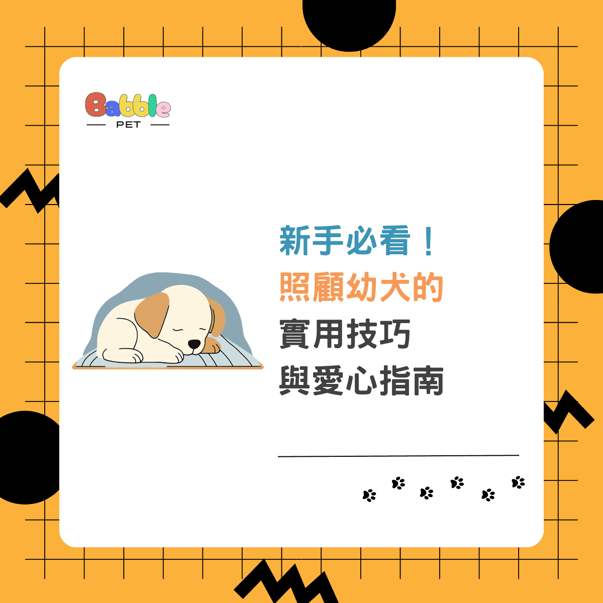 新手必看！照顧幼犬的實用技巧與愛心指南 - Babble Pet