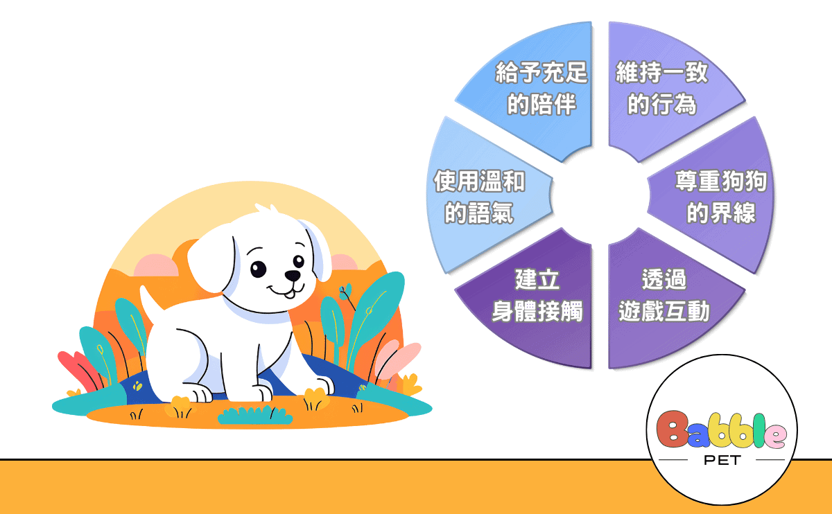 新手必看！照顧幼犬的實用技巧與愛心指南 - Babble Pet