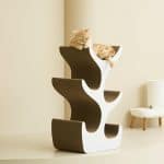 Duit Kitty Tree 小貓樹 - Image 3