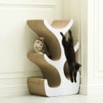 Duit Kitty Tree 小貓樹 - Image 2