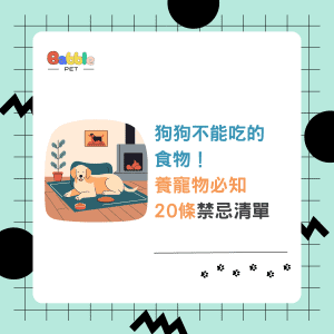 狗不能吃什麼