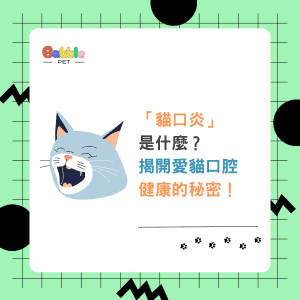 貓口炎