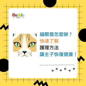 貓眼發炎