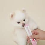 Lorenz Stick Goat Milk Strawberry 營養健康棒（山羊奶草莓口味） - Image 2