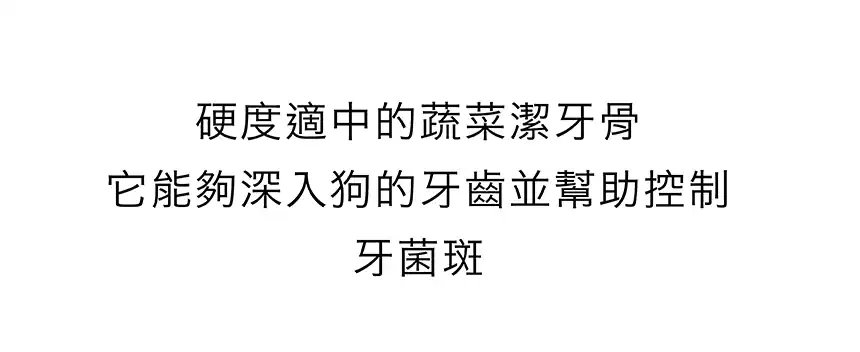 15712608