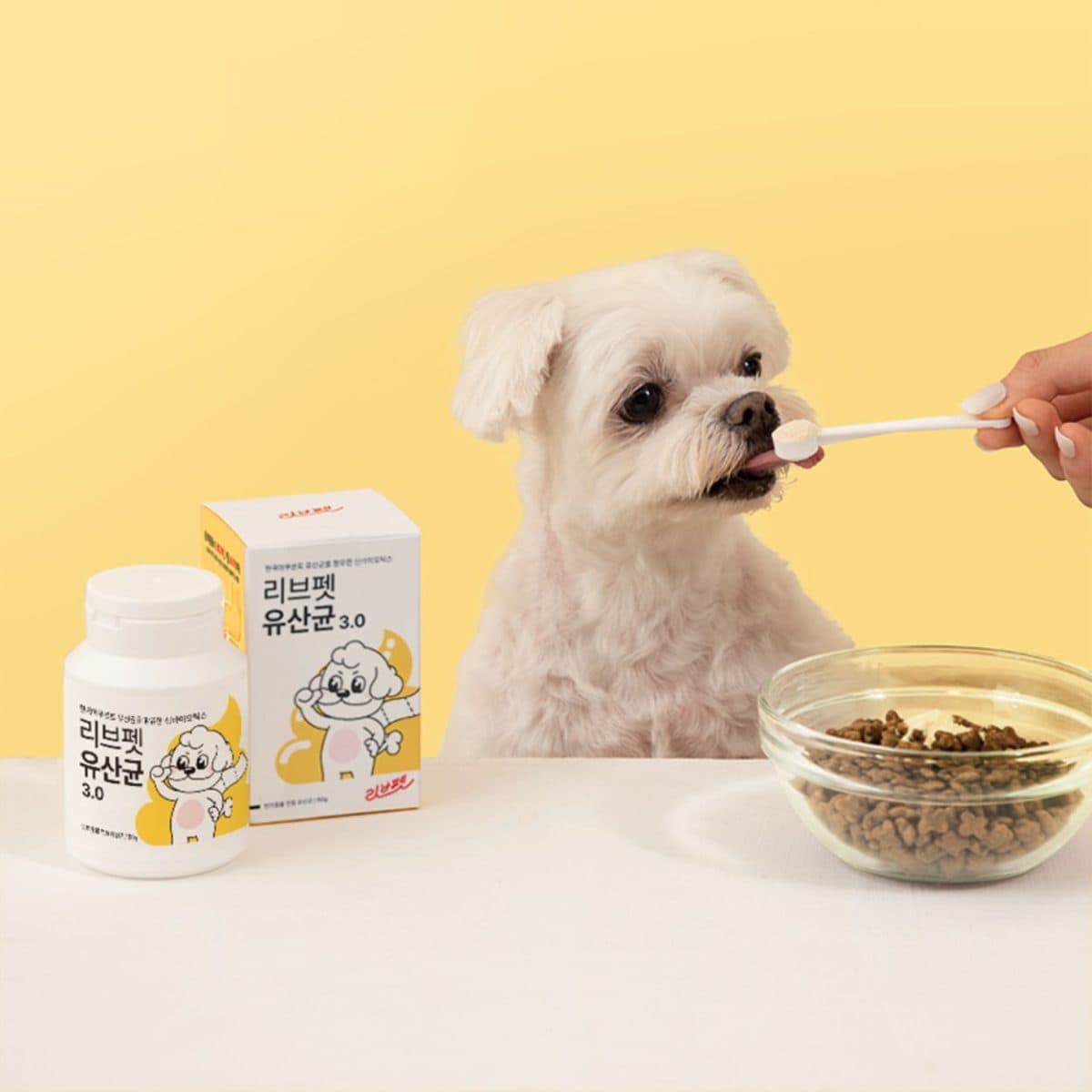 情境圖；貓狗共同使用 LivePet Probiotics 進行日常腸胃保養