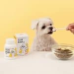 情境圖；貓狗共同使用 LivePet Probiotics 進行日常腸胃保養
