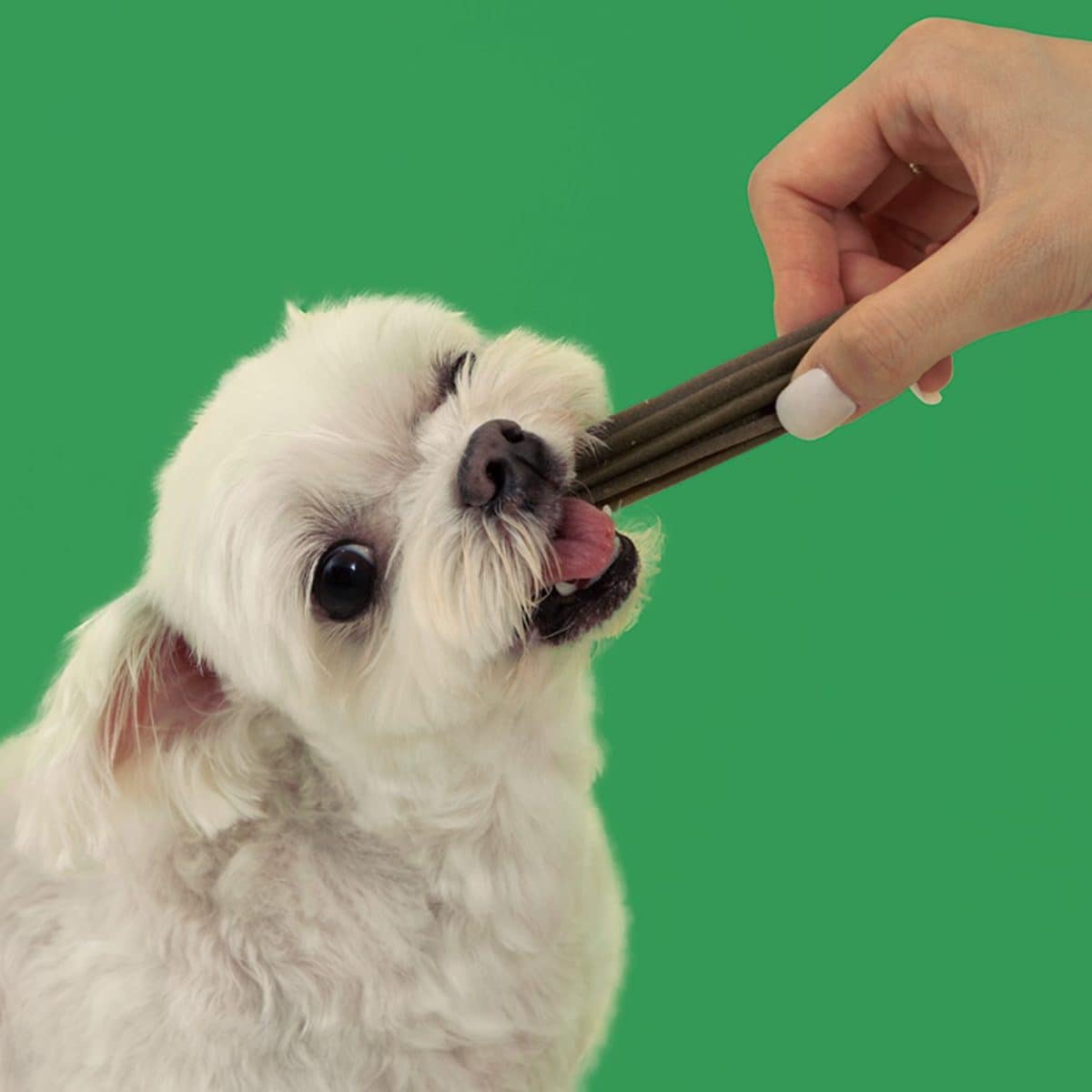 LivePet Dental Fit Chew 牙齒健康咀嚼棒 - Image 5