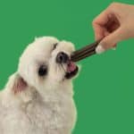 LivePet Dental Fit Chew 牙齒健康咀嚼棒 - Image 5