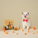 Lorenz Carrot Gum 紅蘿蔔潔齒咬膠 - Image 3