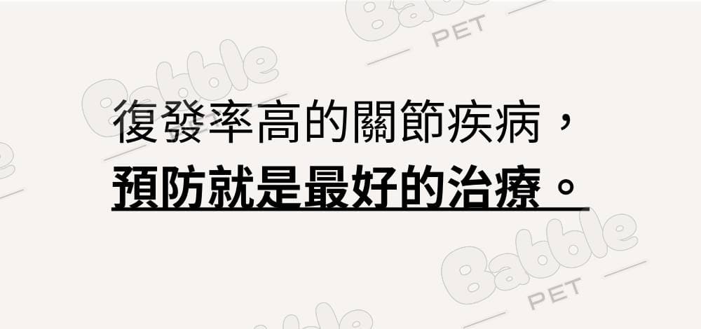 Livepet Joint 關節營養品 15a