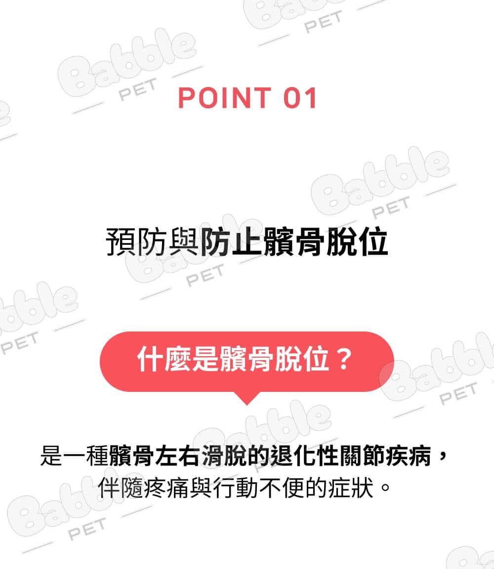 Livepet Joint 關節營養品 16
