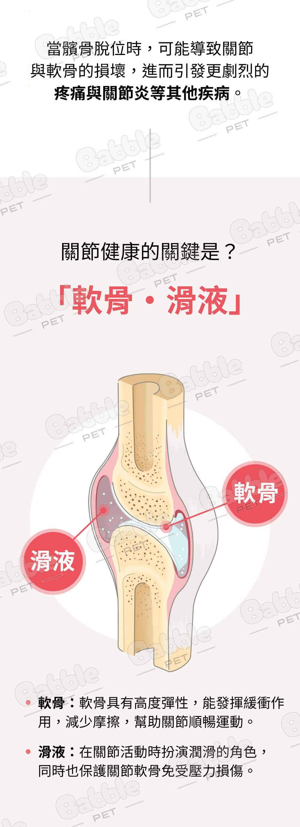 Livepet Joint 關節營養品 17
