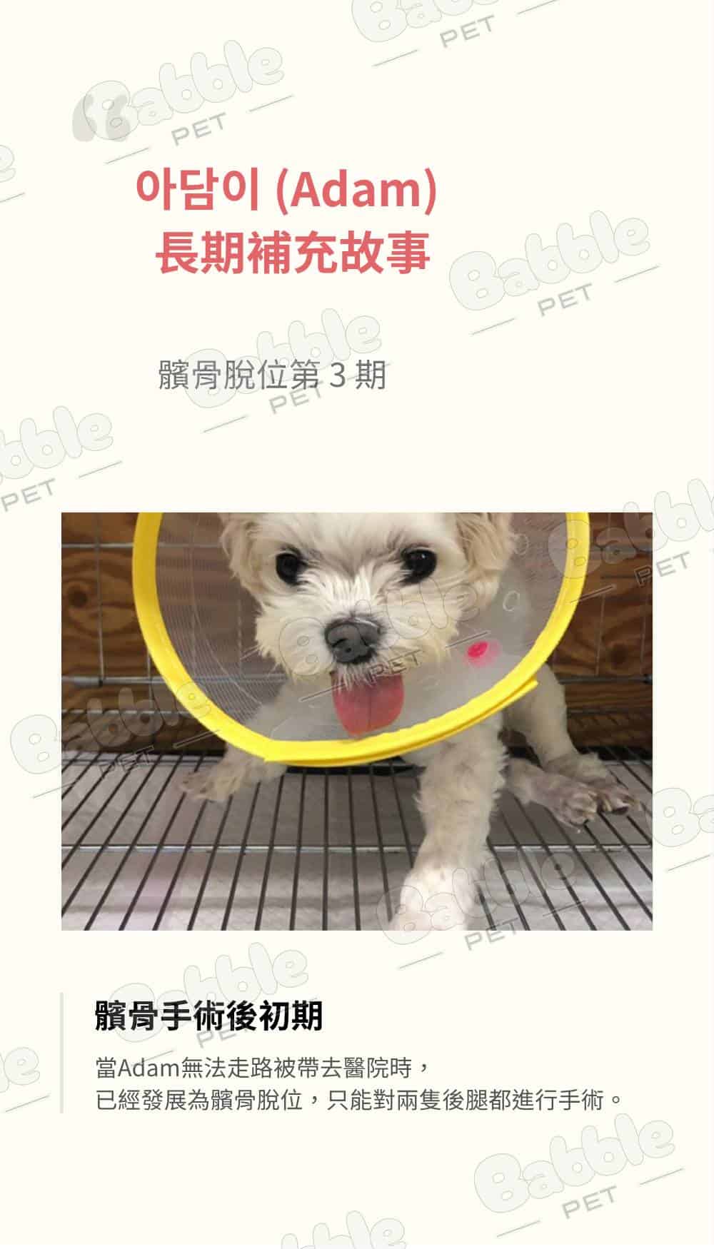 Livepet Joint 關節營養品 18