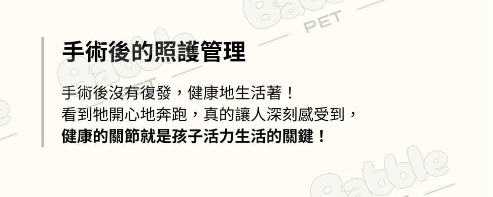 Livepet Joint 關節營養品 19