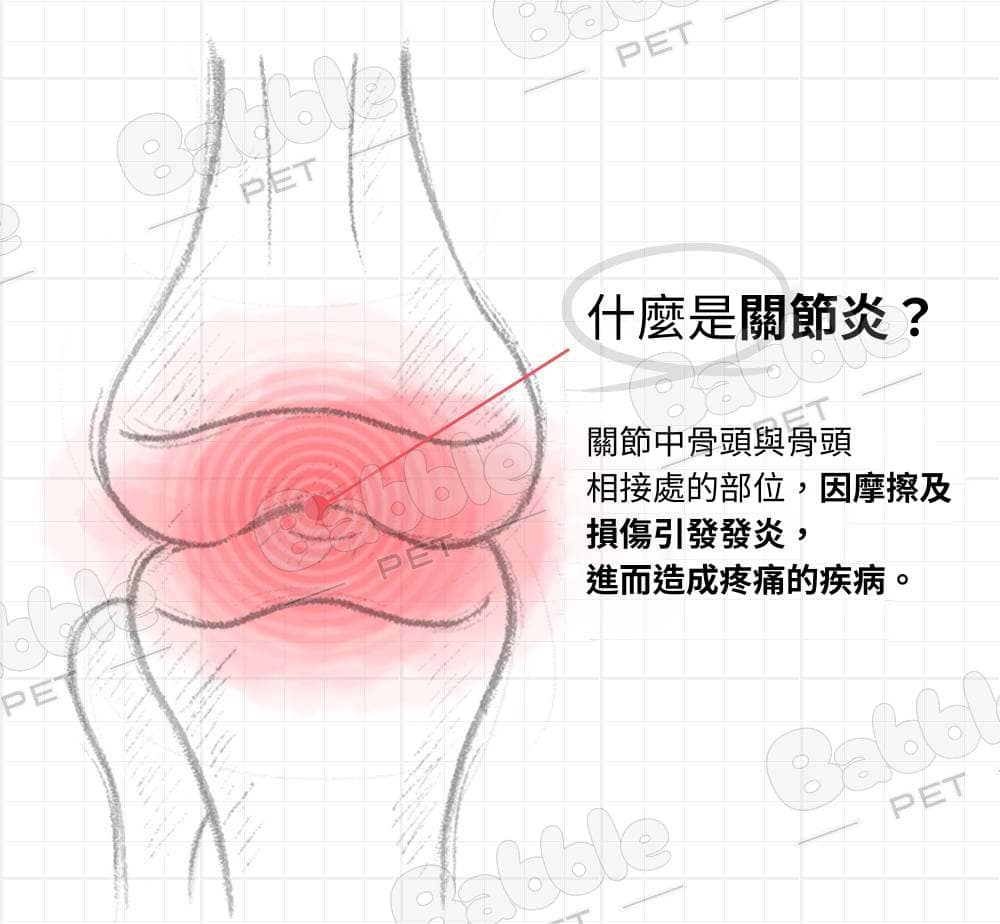 Livepet Joint 關節營養品 21