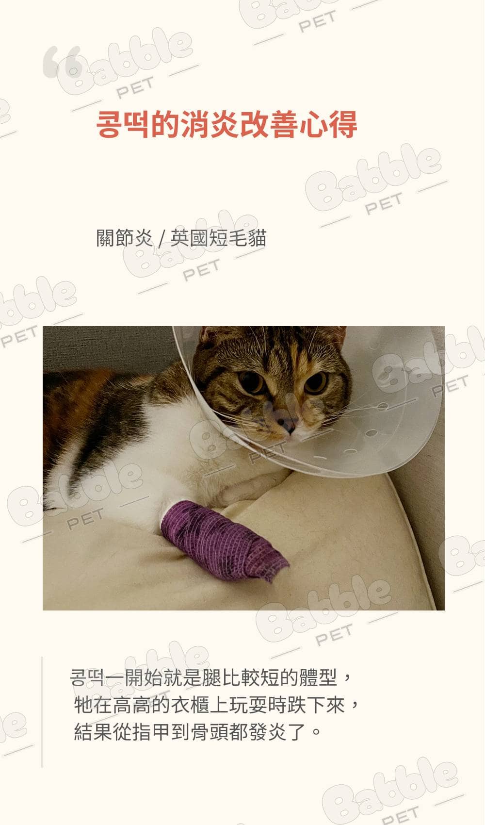 Livepet Joint 關節營養品 23