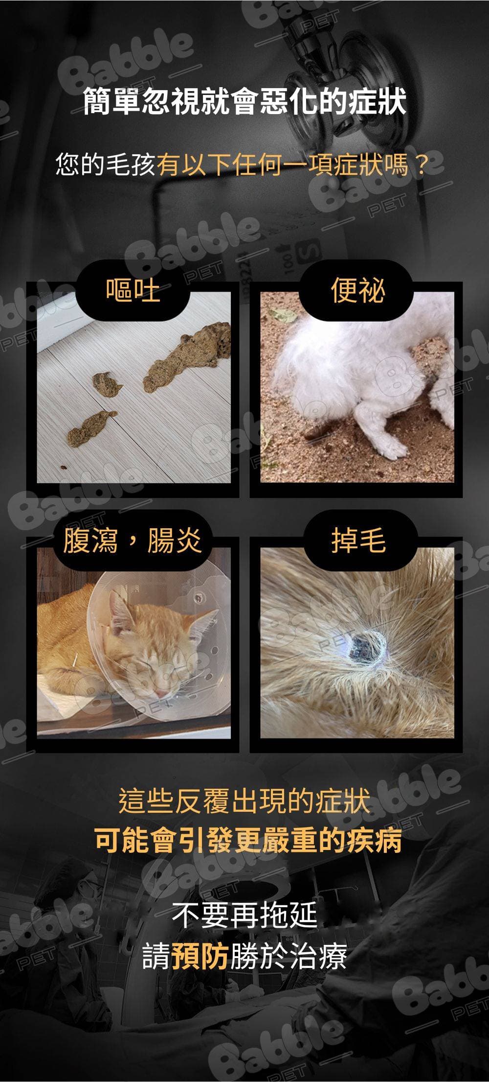 Livepet 益生菌 2 2