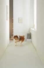 Barky 寵物防滑地墊 - Image 12