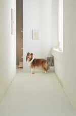 Barky 寵物防滑地墊 - Image 11