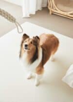 Barky 寵物防滑地墊 - Image 6