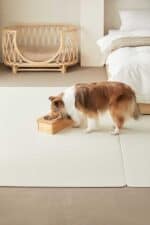 Barky 寵物防滑地墊 - Image 5
