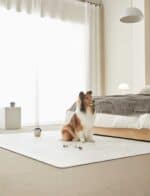 Barky 寵物防滑地墊 - Image 4