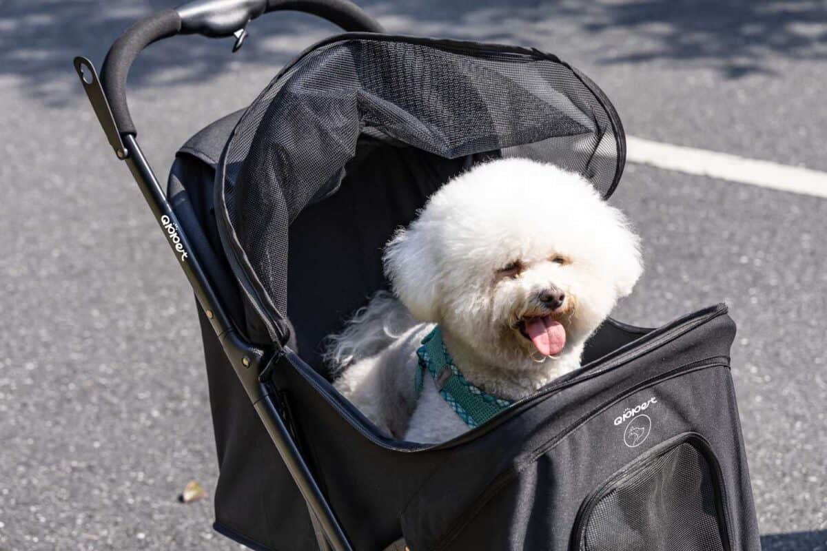 QPPet Pettie Pet Stroller 寵物手推車 - Image 9