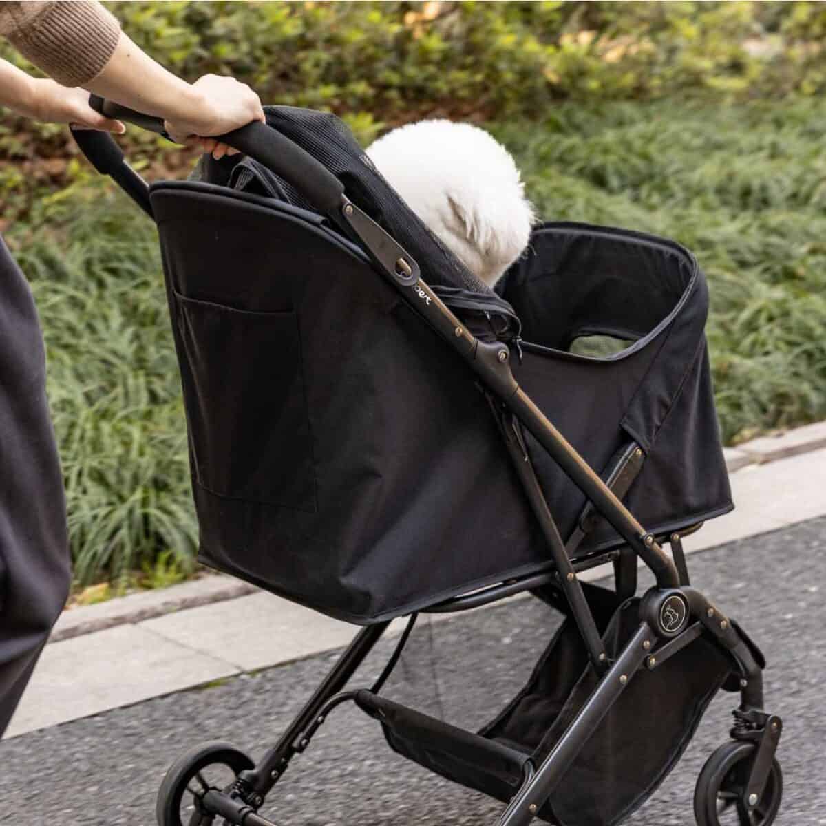 狗狗推車情境｜日常散步與外出使用的實拍畫面