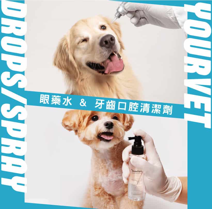 yourvet 1