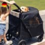 QPPet Max Pet Stroller 大型寵物手推車 - Image 3