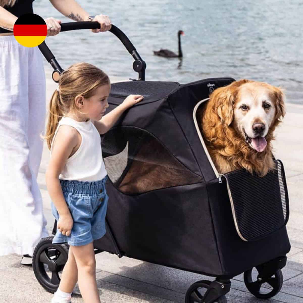 QPPet Max Pet Stroller 大型寵物手推車 - Image 4