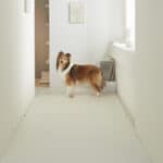 BARKY 寵物防滑地墊 110×120