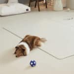 BARKY 寵物防滑地墊 170×140