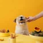 Lorenz Long-Eating Whoopi Mal Sweet Potato 長時間咀嚼牛皮捲（紅薯） - Image 3