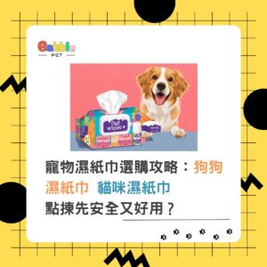 pet wipes featured image 1200 x 1200